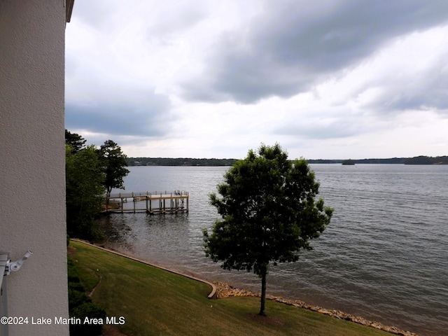 250 Crowne Pointe Rd, Dadeville, AL 36853 - photo 41