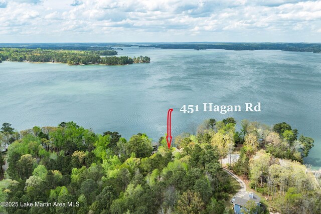 451 Hagan Rd, Eclectic, AL 36024 - photo 9