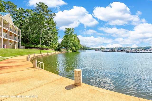 dock area with a water view