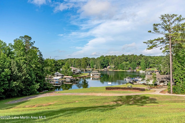 water view with a heavily wooded area