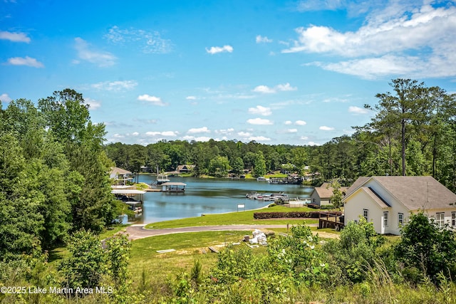 water view with a boat dock and a forest