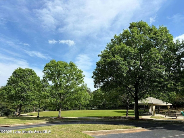 11 Redbud Ct, Dadeville, AL 36853 - view of community with a yard and view of wooded area