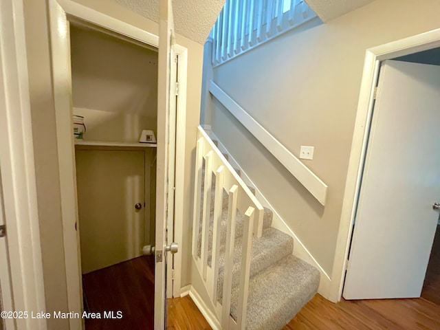 11 Redbud Ct, Dadeville, AL 36853 - staircase featuring wood finished floors and a textured ceiling