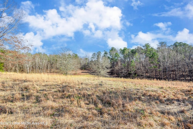 view of local wilderness