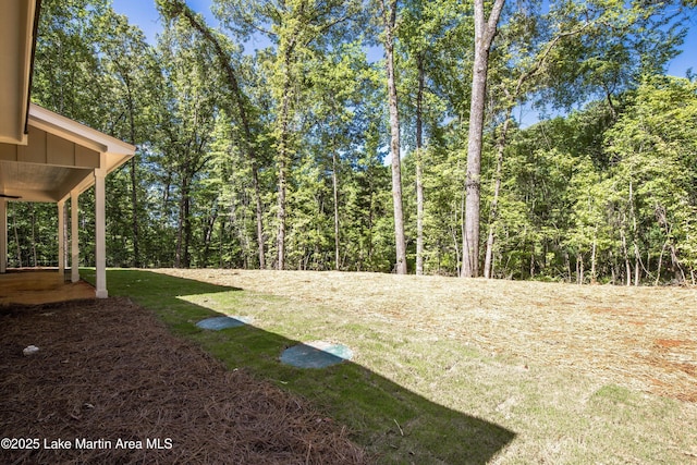 384 Palmer Dr, Dadeville, AL 36853 - photo 25