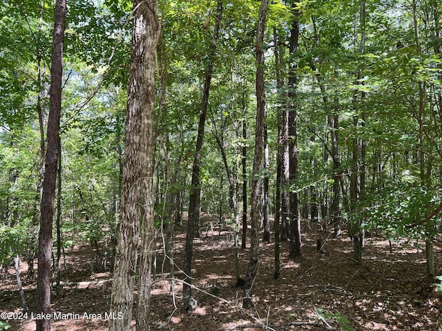 LOT21 Fern Ridge Dr, Dadeville AL, 36853 land for sale