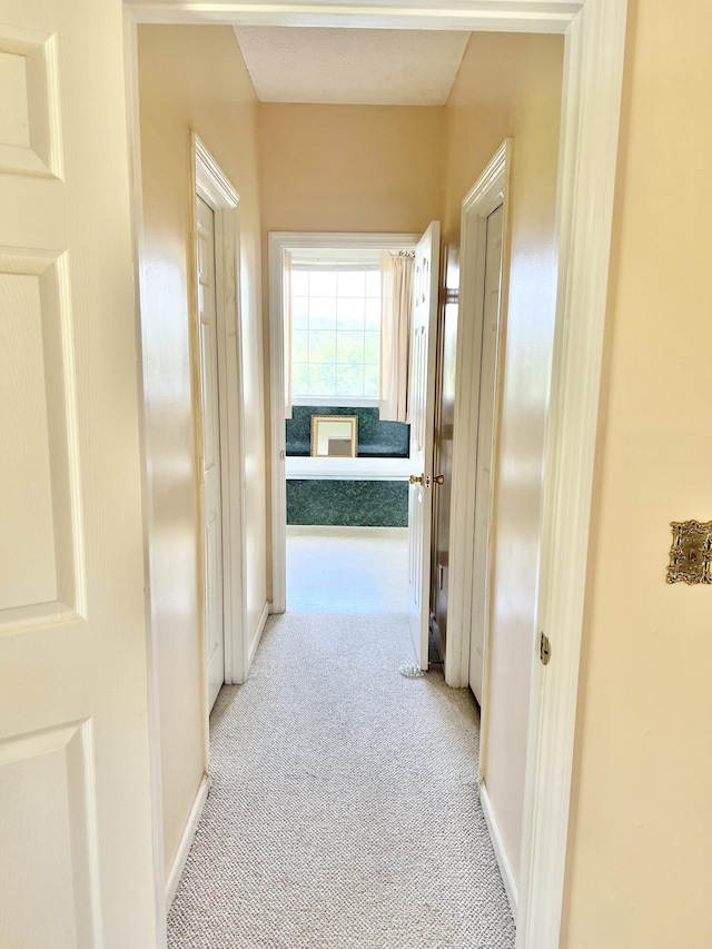 1370 County Road 759, Clanton, AL 35045 - hall featuring carpet floors