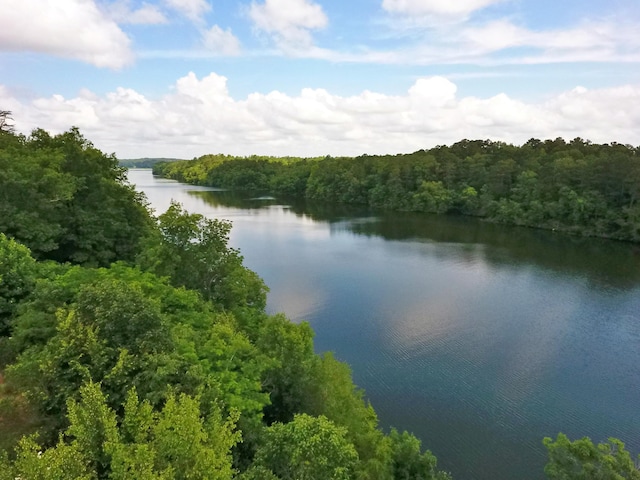 1370 County Road 759, Clanton, AL 35045 - water view featuring a forest