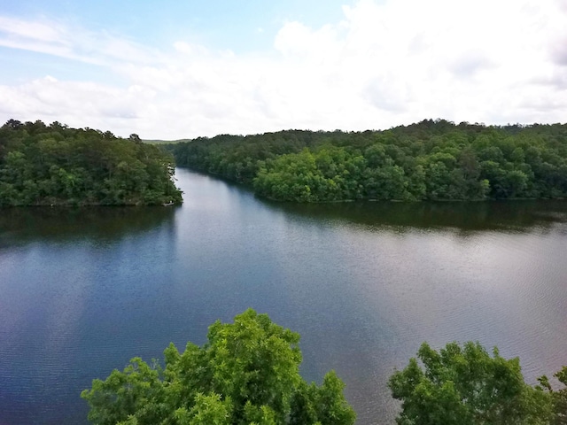 1370 County Road 759, Clanton, AL 35045 - water view featuring a heavily wooded area