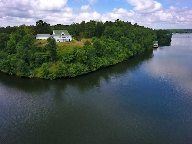 1370 County Road 759, Clanton, AL 35045 - view of subject property with a nearby body of water and a forest