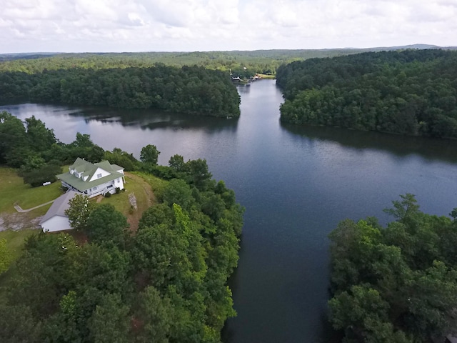 1370 County Road 759, Clanton, AL 35045 - drone / aerial view of a forest and a nearby body of water