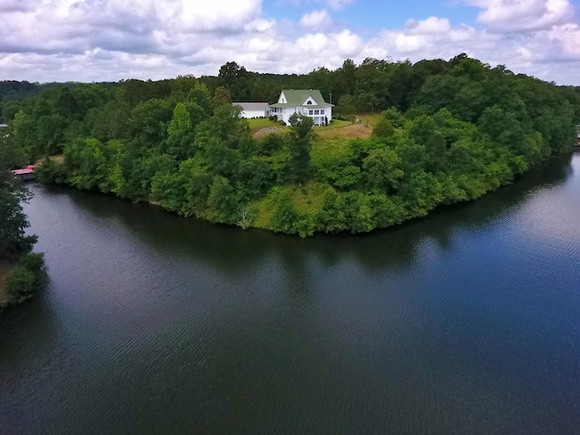 1370 County Road 759, Clanton, AL 35045 - view from above of property with a large body of water and a forest