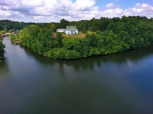 1370 County Road 759, Clanton, AL 35045 - view of subject property featuring a large body of water and a heavily wooded area