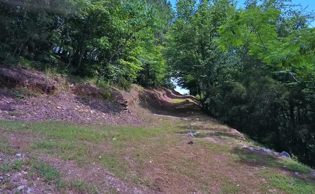 1370 County Road 759, Clanton, AL 35045 - view of yard