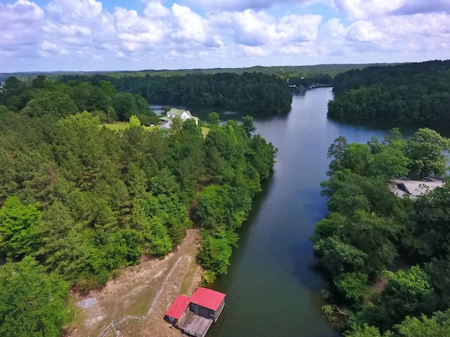 1370 County Road 759, Clanton, AL 35045 - bird's eye view of a forest and a large body of water