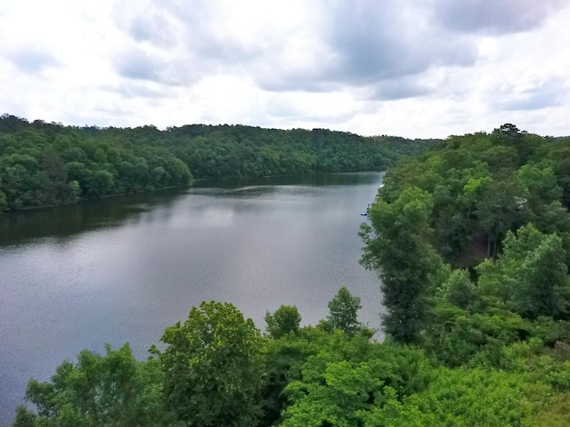 1370 County Road 759, Clanton, AL 35045 - water view with a forest