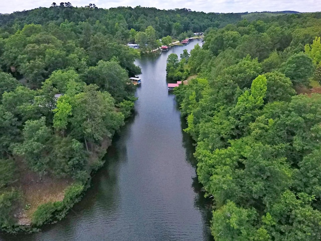 1370 County Road 759, Clanton, AL 35045 - drone / aerial view of a nearby body of water and a heavily wooded area