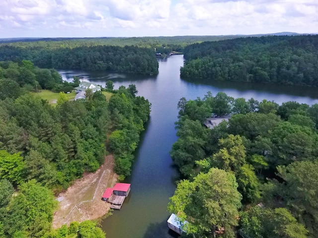 1370 County Road 759, Clanton, AL 35045 - aerial view of a forest and a nearby body of water