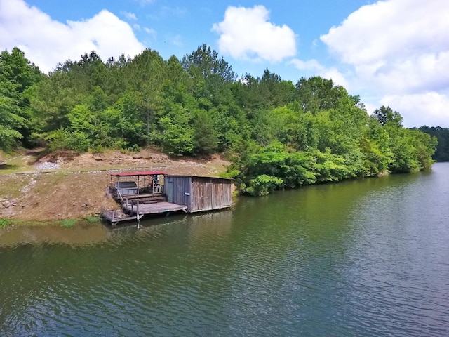 1370 County Road 759, Clanton, AL 35045 - dock featuring a water view and a view of trees
