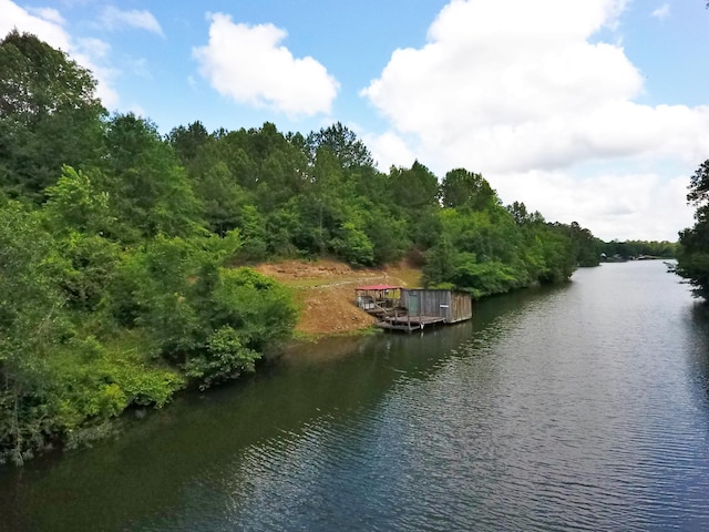 1370 County Road 759, Clanton, AL 35045 - water view featuring a dock and a heavily wooded area