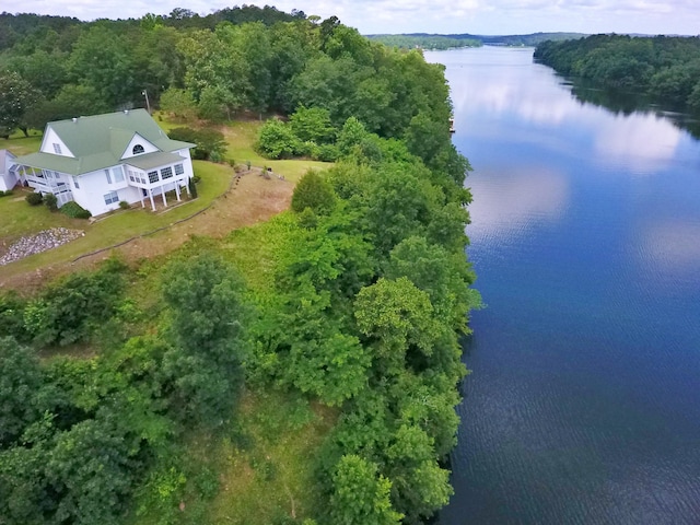 1370 County Road 759, Clanton, AL 35045 - view from above of property featuring a large body of water and a forest