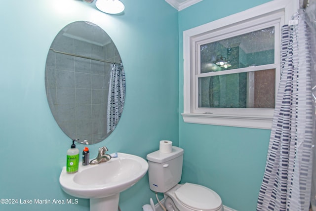 bathroom featuring toilet, curtained shower, ornamental molding, and sink