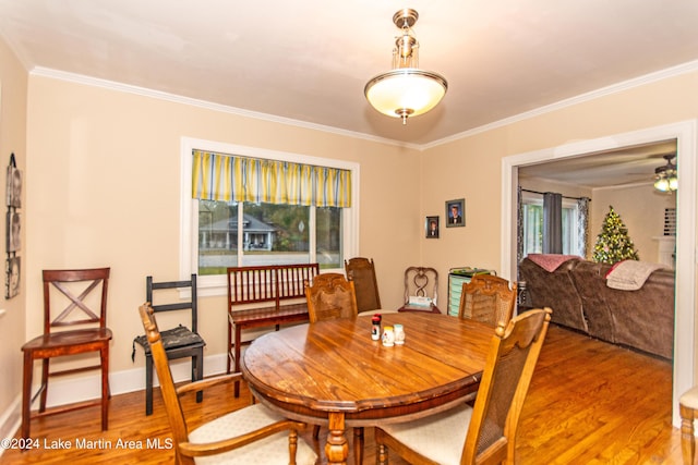 dining area featuring ceiling fan, plenty of natural light, ornamental molding, and hardwood / wood-style flooring