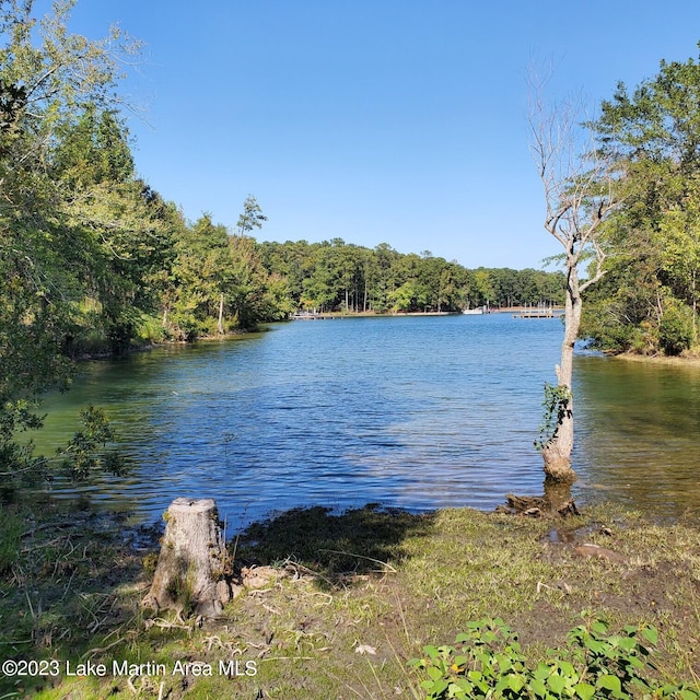 Listing photo 3 for LOT1 Lakewinds Rd, Alexander City AL 35010