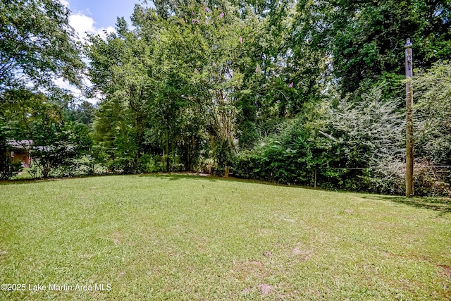 3464 Dobbs Rd, Alexander City, AL 35010 - view of grassy yard