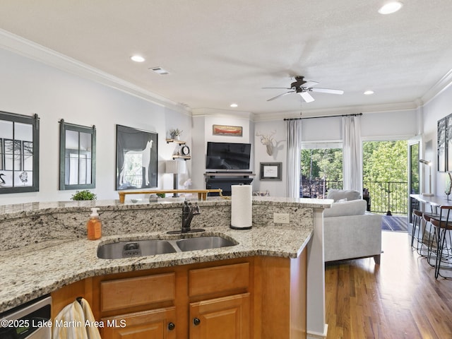 64 Stoneview Summit Ct Unit 5301, Dadeville, AL 36853 - kitchen featuring a sink, ornamental molding, a ceiling fan, and open floor plan