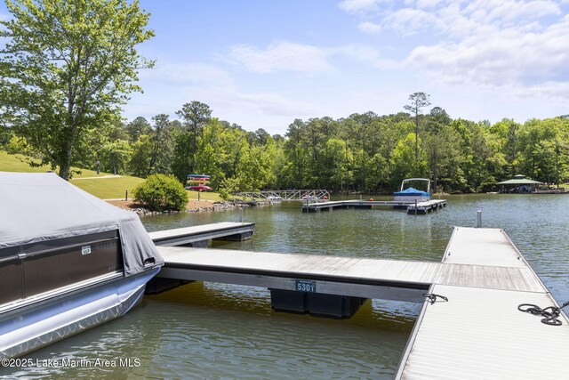 64 Stoneview Summit Ct Unit 5301, Dadeville, AL 36853 - dock area with a water view and a view of trees