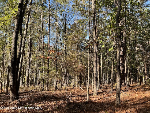 LOT15 Buckview Ln, Dadeville AL, 36853 land for sale