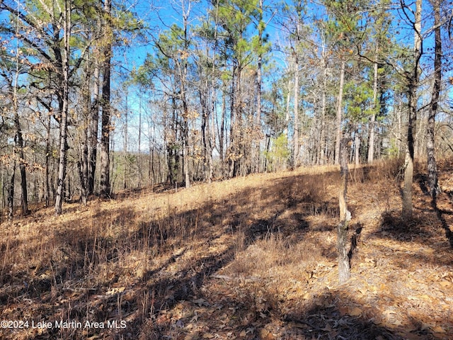 Listing photo 3 for 19ACRES Andrews Mill Rd, Tallassee AL 36078