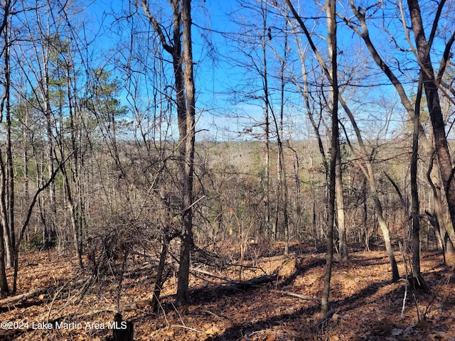 19ACRES Andrews Mill Rd, Tallassee, AL 36078