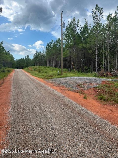 908 Pineforest Dr, Dadeville, AL 36853 - photo 1