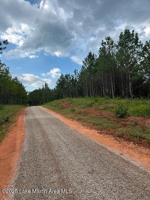 908 Pineforest Dr, Dadeville, AL 36853 - photo 2