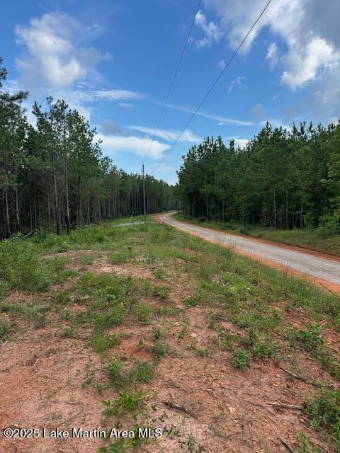 908 Pineforest Dr, Dadeville, AL 36853 - photo 4
