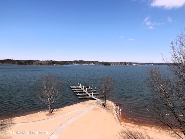 dock area with a water view