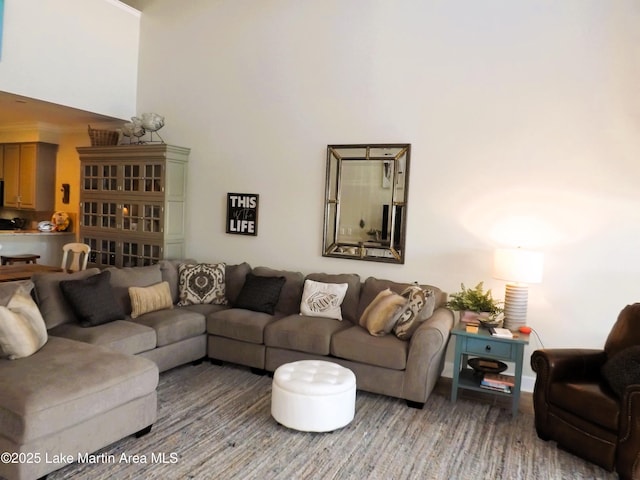 living room with a towering ceiling