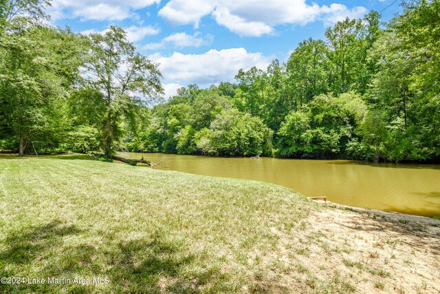 1150 Town Creek Rd, Alexander City, AL 35010 - photo 11