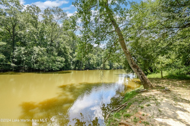 1150 Town Creek Rd, Alexander City, AL 35010 - photo 53