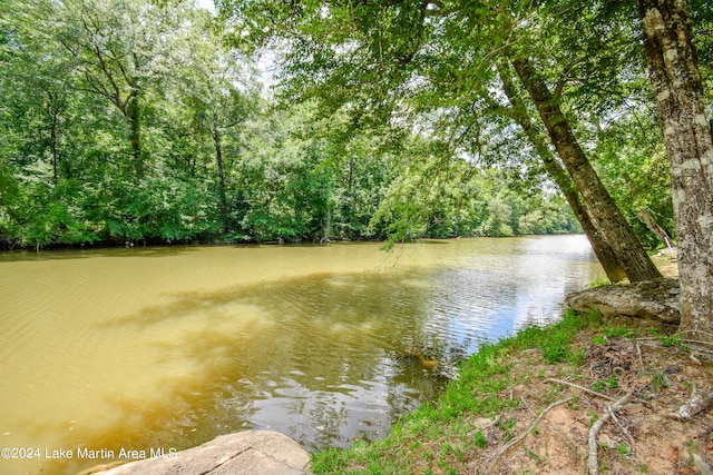 1150 Town Creek Rd, Alexander City, AL 35010 - photo 59