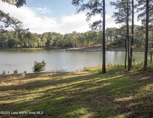 468 Luannes Way, Alexander City, AL 35010 - photo 4