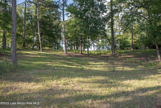 468 Luannes Way, Alexander City, AL 35010 - photo 7