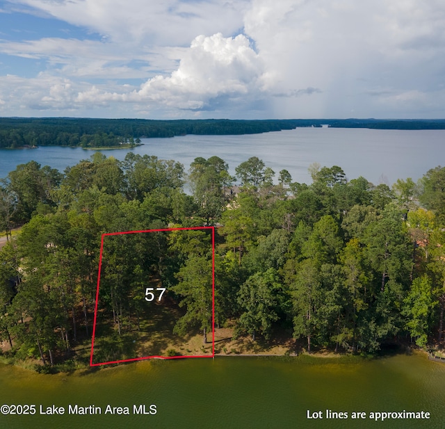 468 Luannes Way, Alexander City, AL 35010 - photo 1