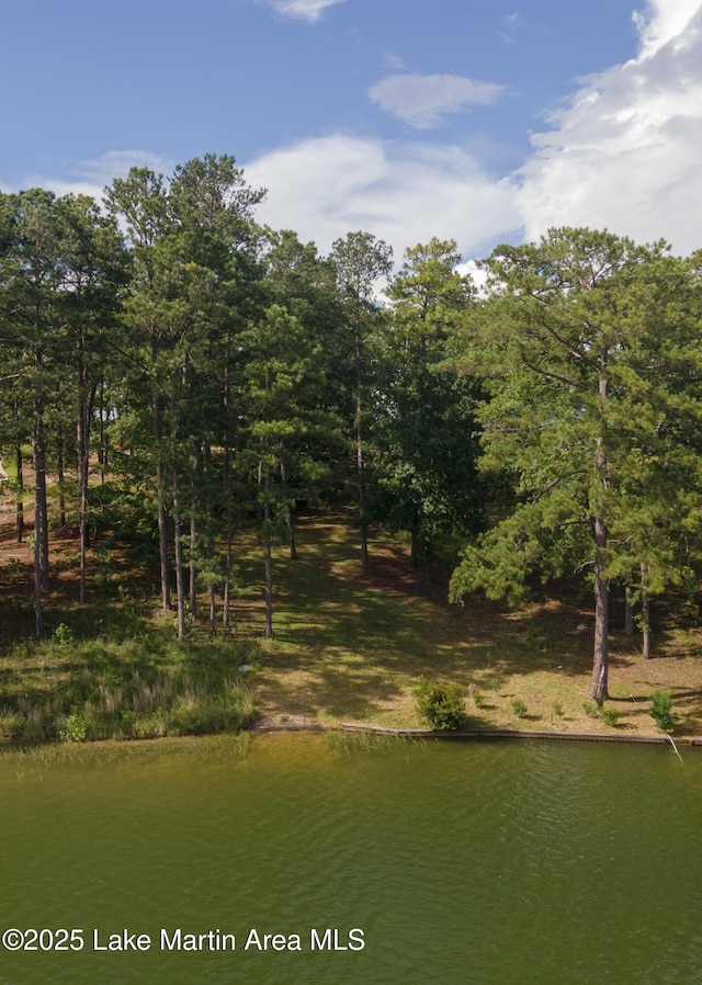 468 Luannes Way, Alexander City, AL 35010 - photo 6