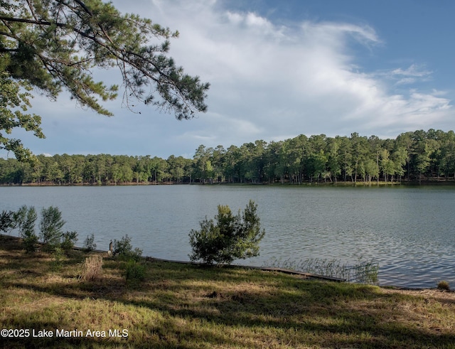 468 Luannes Way, Alexander City, AL 35010 - photo 5