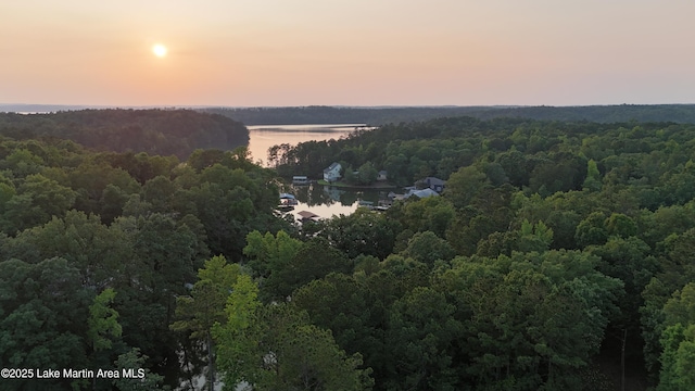 217 Woodside Dr, Jacksons Gap, AL 36861 - photo 7