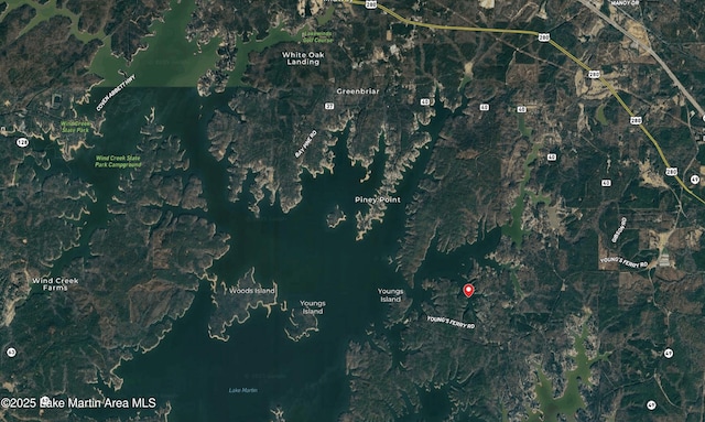 217 Woodside Dr, Jacksons Gap, AL 36861 - photo 13