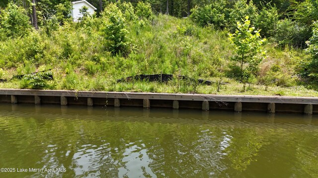 217 Woodside Dr, Jacksons Gap, AL 36861 - photo 2